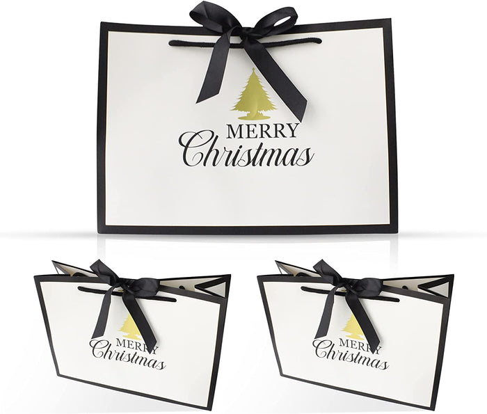 Christmas Paper Bag with Rope Handle and Ribbon | Pack of 10